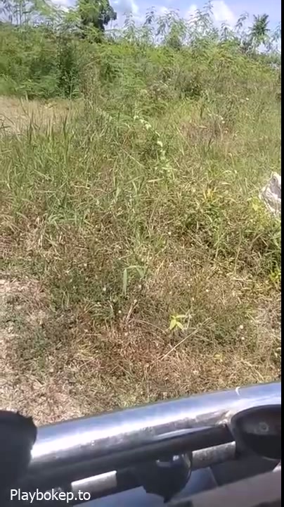 Ketempat Sepi Ajak Ngewe