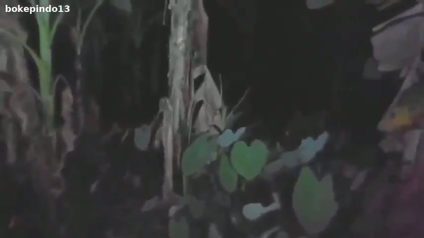 Bokep Indo Rela Ke Kebun Pisang Demi Ngewe Sama Anak Tetangga - DoodStream - DoodStream