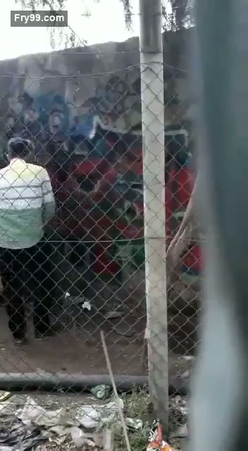 ngewe gadis hijab di pinggir jalan