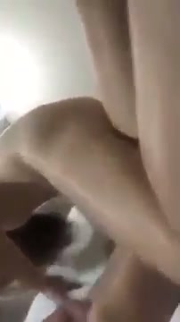 - Service Dari Kakak Jago Wot