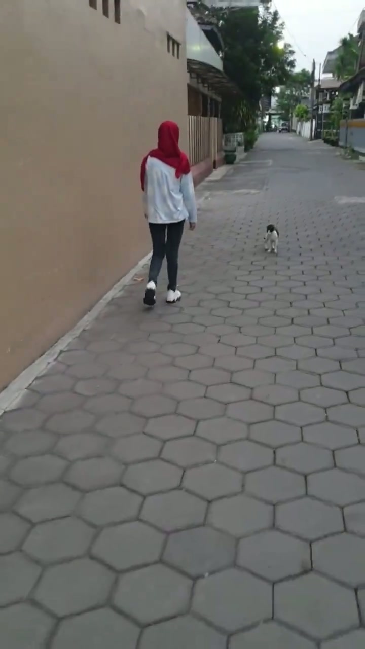 83 Hijab kacamata Open BO, crot didalam - DoodStream - PoopHD