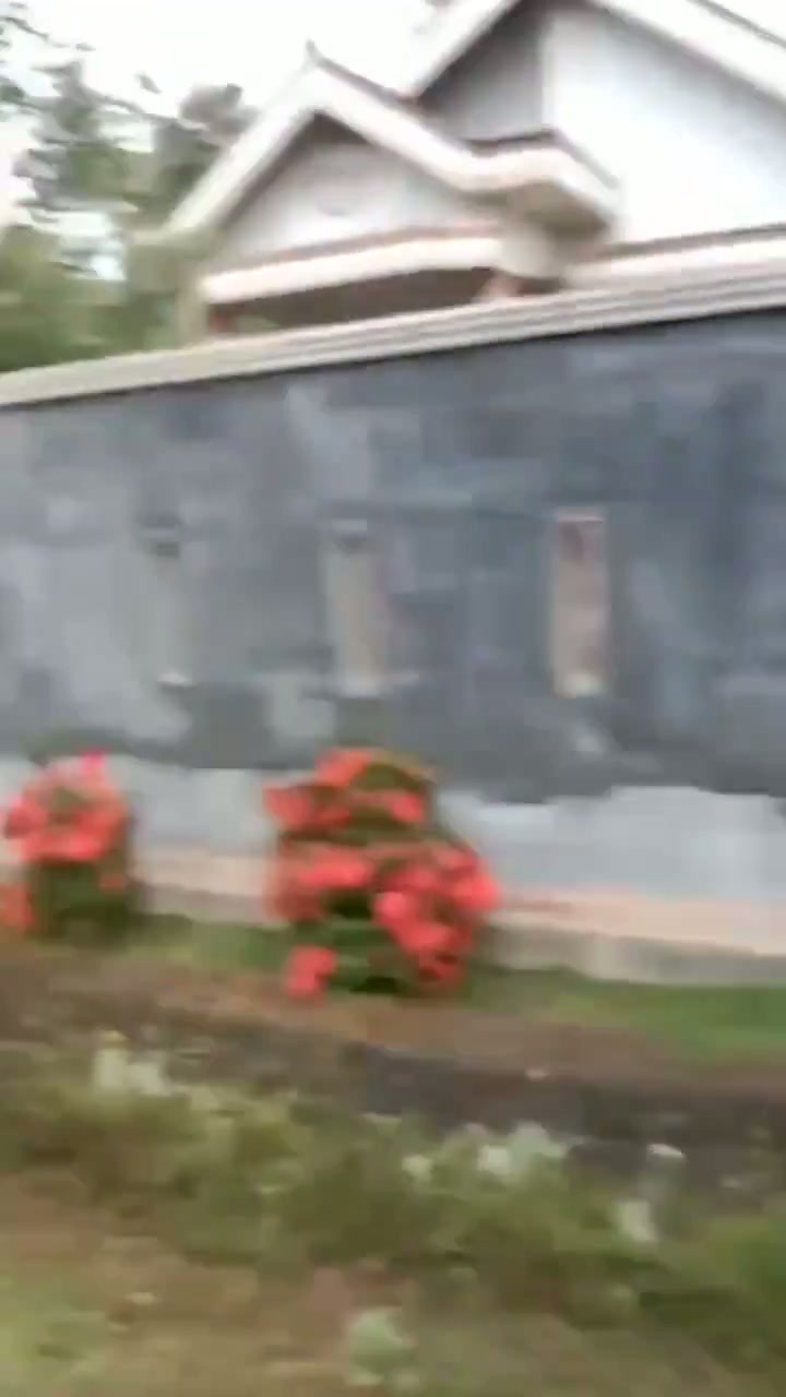 ampun pakde-viral terbaru preman kampung