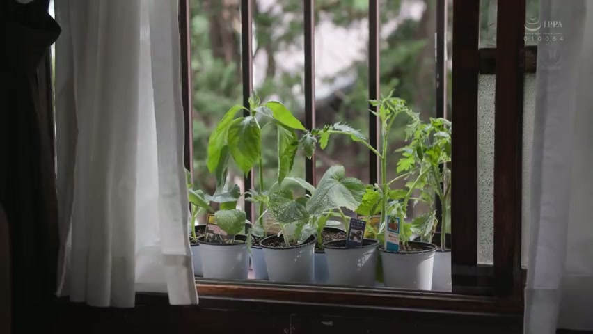 Payudara alami K-cup yang luar biasa Madonna transfer rilis ke-2!! Dia lebih mencintai ayah mertuanya daripada suaminya... Niwa Saaya jur-212_javhd_today.mp4