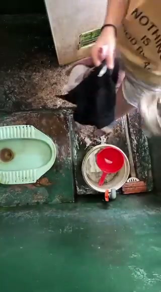 ngintip kakak tete mancung