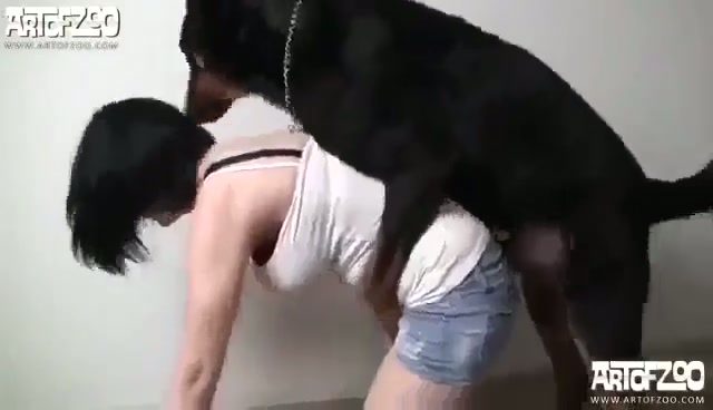 Gadis SMA jepang Ngentot dengan Anjing peliharaan Hewan