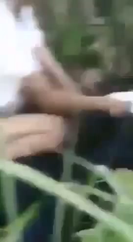 Esempe kena gilir di semak