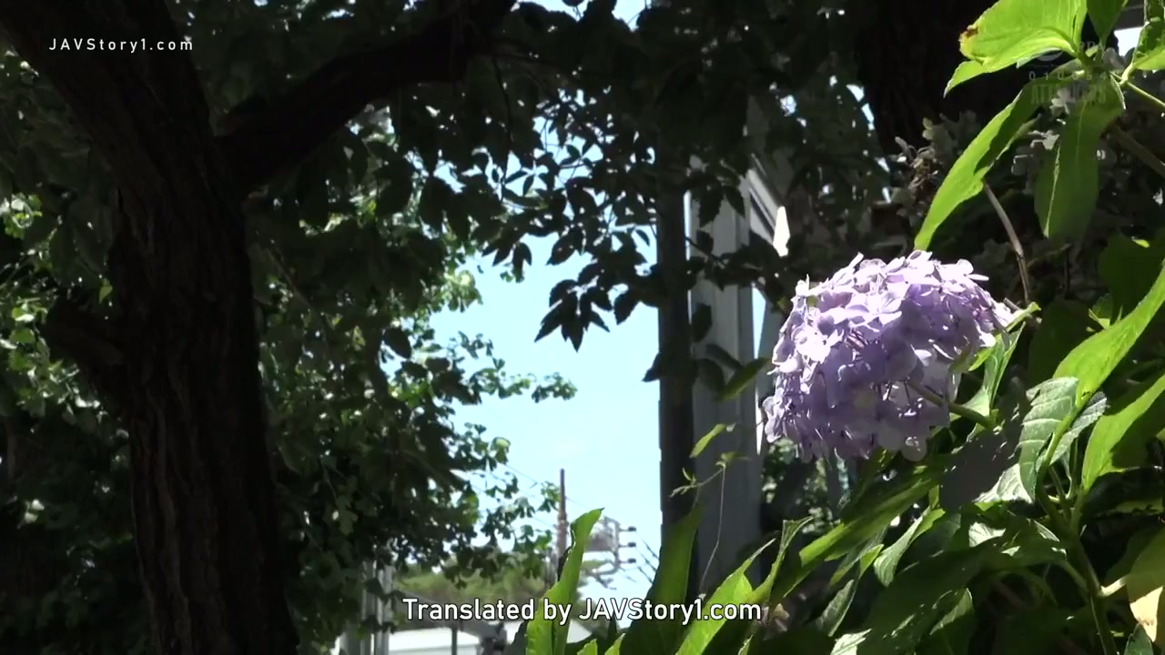 Jav Sub Indo [ADN-367] Tetangga Baru Punya Nafsu Besar – Hikari Kisaki