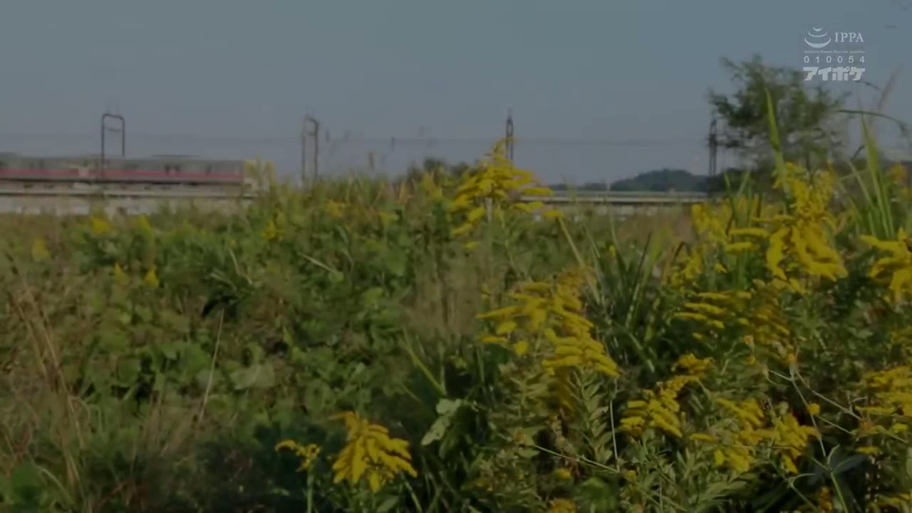 IPZZ-235 Unexpectedly Ended Up Sharing A Room With My Boss, Whom I Hated To Death, At A Hot Spring Inn On A Business Trip… I Was Made To Cum Over And Over Again By This Ugly, Obscene Old Man Anzu Here