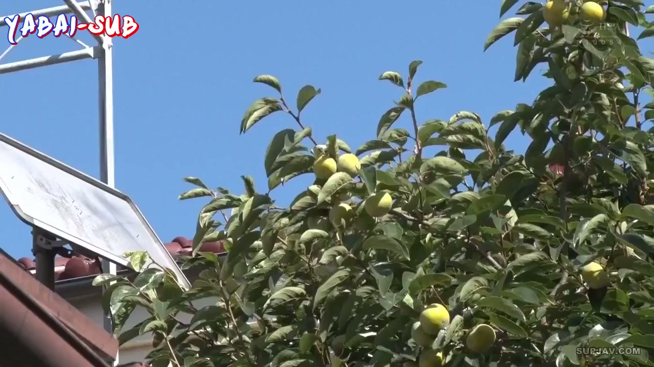 JUL-554 - Digenjot Guru Les – Momoko Isshiki