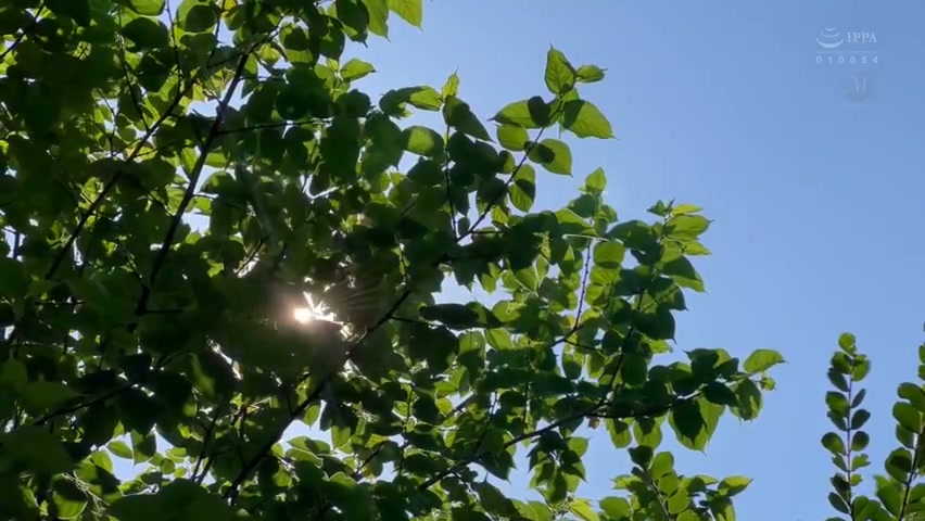 [ Jav Sub Indo ] Demi suaminya yang tercinta, dia menjadi penggantinya di akhir pekan. Dia berulang kali disetubuhi oleh seorang pria tua yang sangat seksual dan jahat hingga dia hamil... Mary Tachibana jur-213_javhd_today.mp4