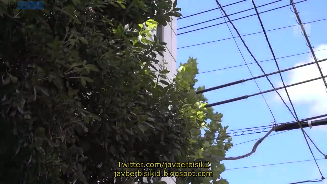 Jav sub indo - MIAA-625 Istri Menjadi Pembantu Untuk Melunasi Hutang – Mina Kitano