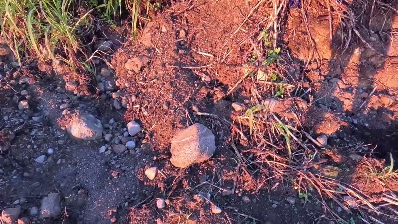 Ngewe Sore Hari di Alam Terbuka Konten Bersama Pacar ML