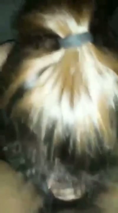 Karena nyepong adalah jalan ninja MELA CHINDO