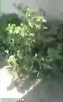 Anak SMA Nyari Duit Buat Jajan - DoodStream