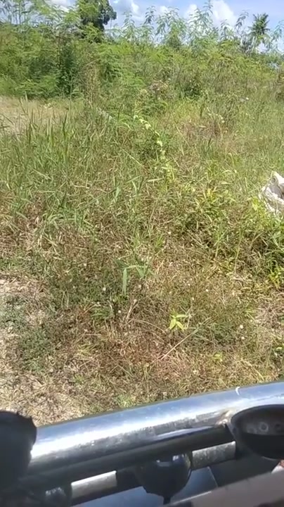 Siskaeee prank supir becak Part 2