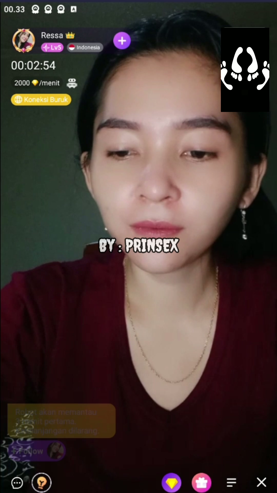 Vcs Ressa apk Chamet