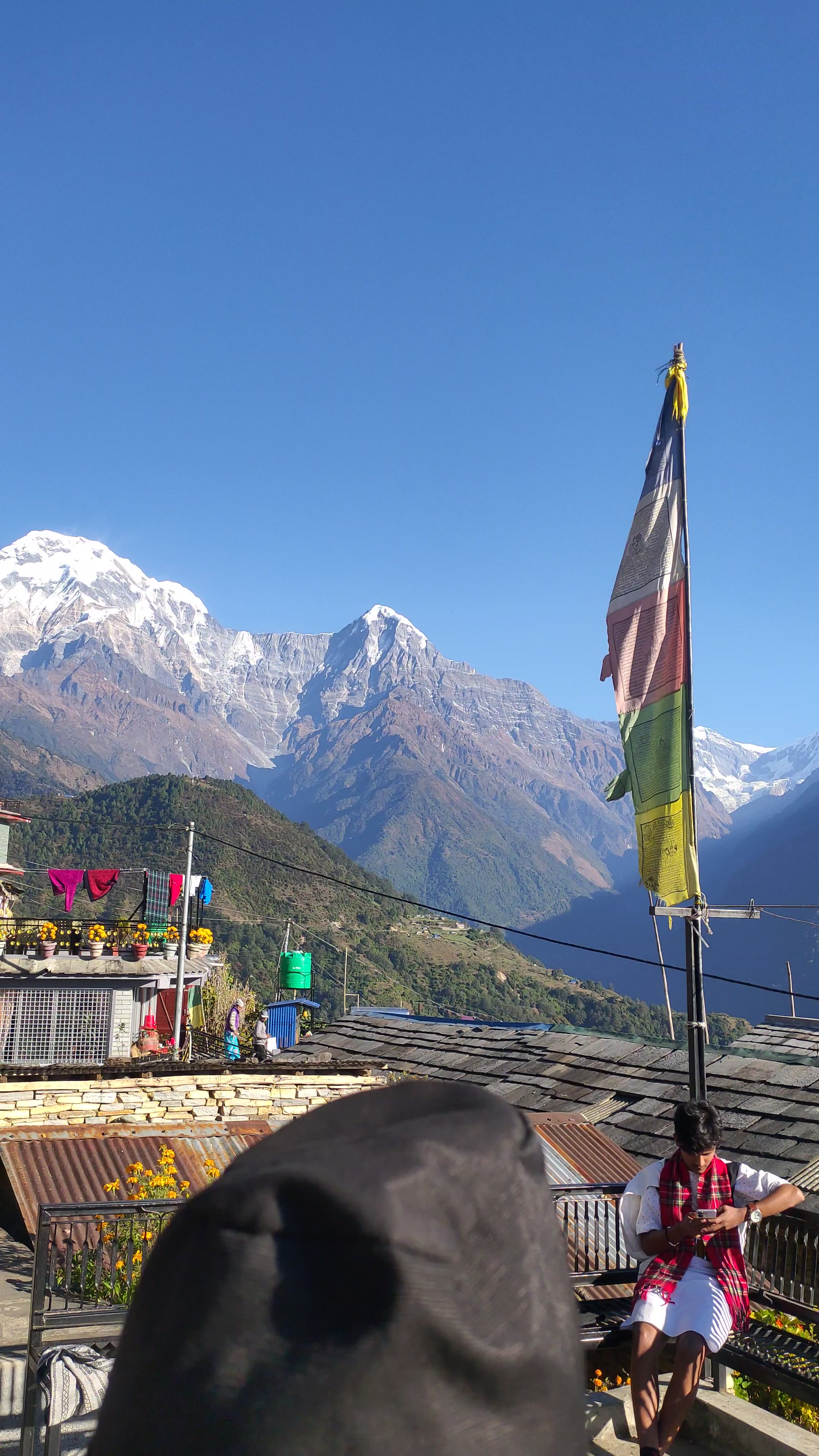 VID20241202085339.mp4