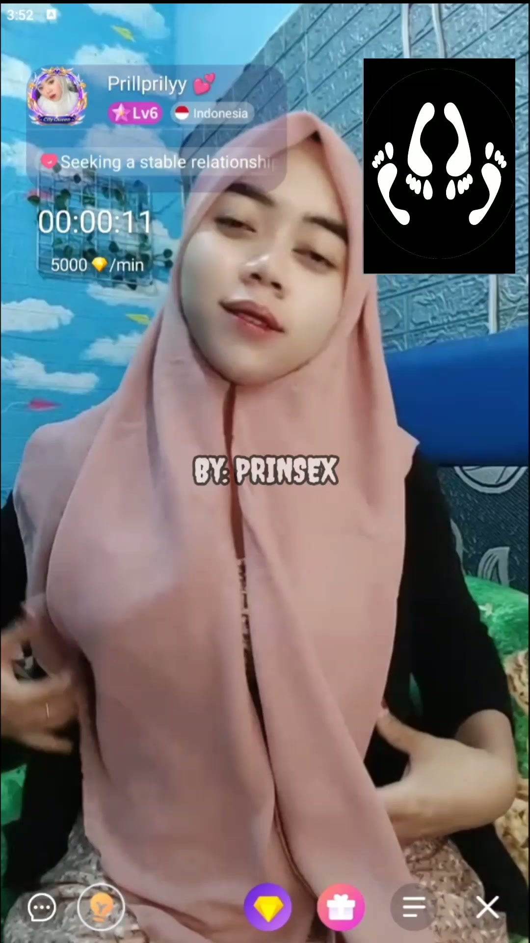 Vcs Prily apk Chamet