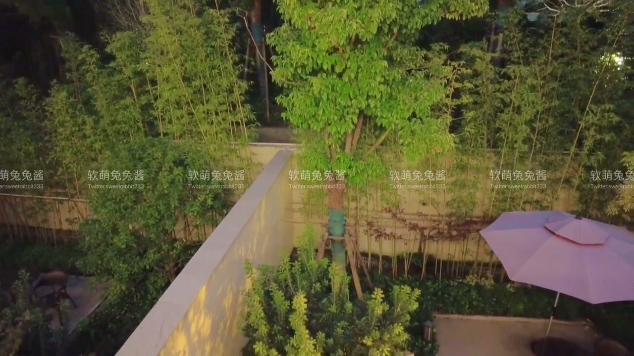 软萌兔兔酱 (SweetRabbit233) - Cat lover Kinako 76 photos and 1 videos - Cosplaytele