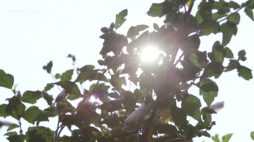 [ Jav Sub Eng ] Iori Nanase - Mothher Love