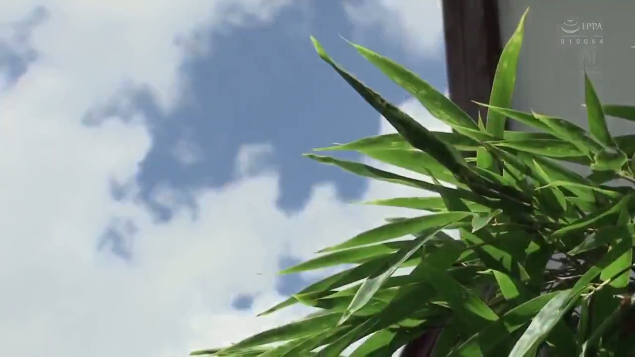 JUL-201 Musim Panas Bersama Ibu Tiri – Rin Okae-720p