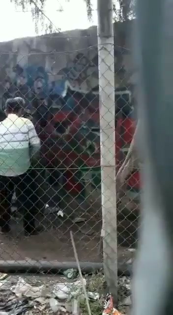 Video Bokep Ngintip Hijab Ngentot Cowknya Kurang Modal - Kamar Bokep - PoopHD.mp4