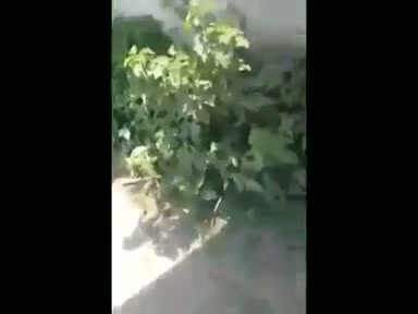 ngintip pelajar sma bikin anak di rumah kosong - PoopHD