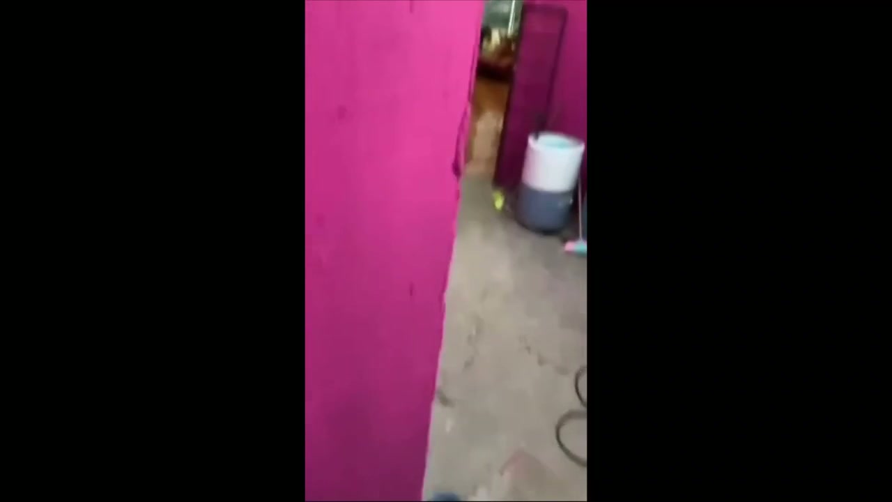 ketahuan colmek di ewe tetangga