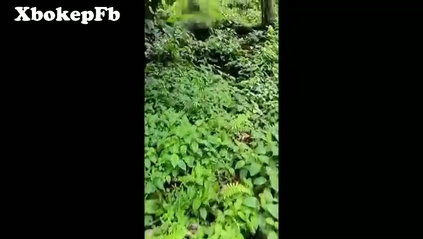 Siskaeee 3 prank orang di hutan