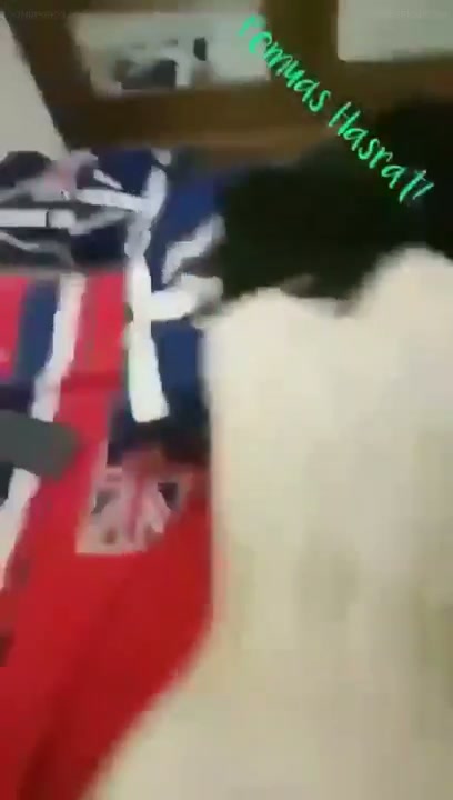 Nova pemuas hasrat doggy bantal amerika sprei merah.mp4