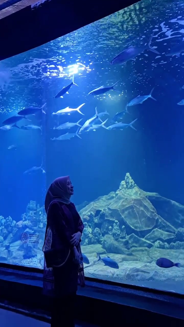 4lt3r f4v0rit3 3 .mp4