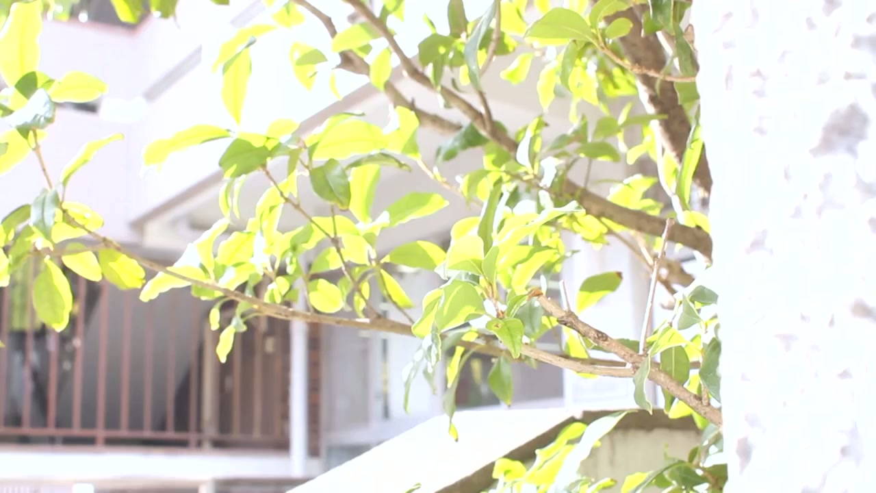 4 [ Jav Sub Indo ] "Payudara guru yang harus disalahkan!" Masalah payudara besar K-cup guru wanita cantik yang mengubah semua anak laki-laki menjadi pemerkosa penuh nafsu - Kagura Momoka SONE-319