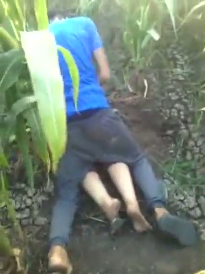 Terciduk mesum di kebun jagung.mp4