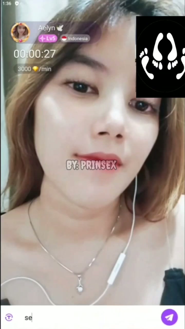 Vcs Aelyn apk Chamet