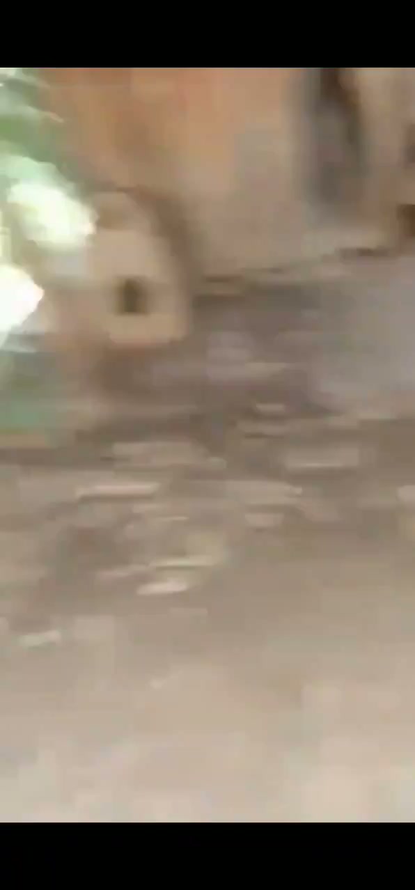 FjTBNMq_jQ1ZeS6W.mp4