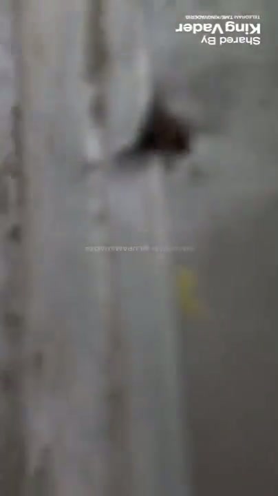 ngintip mandi kolam renang