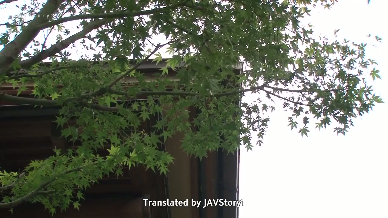 Jav Sub Indo [MIDE-777] Ayah Tiri Dan Adik Yang Nakal – Shoko Takahashi