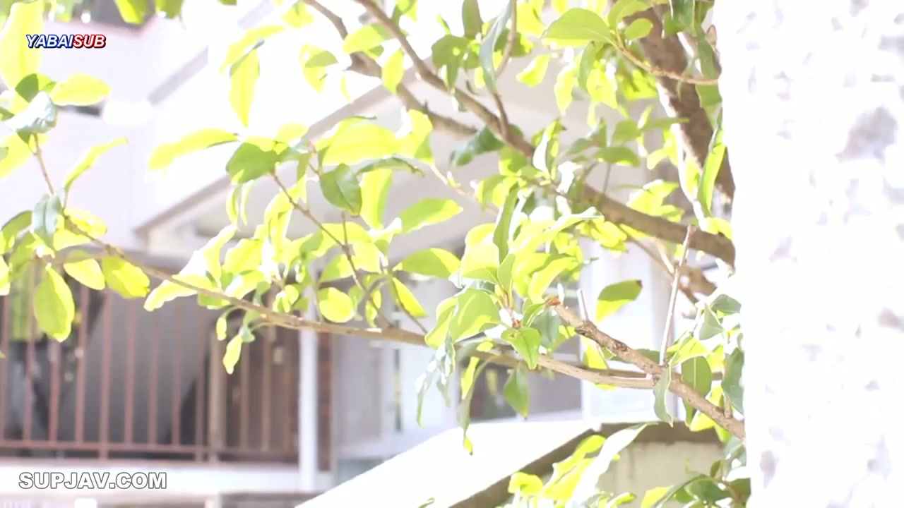 [Jav Sub Indo ] Momoka Kagura - Ibu Guru Tobrut