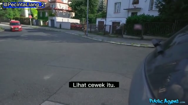 Public agent sub indo Videos - DoodStream 1