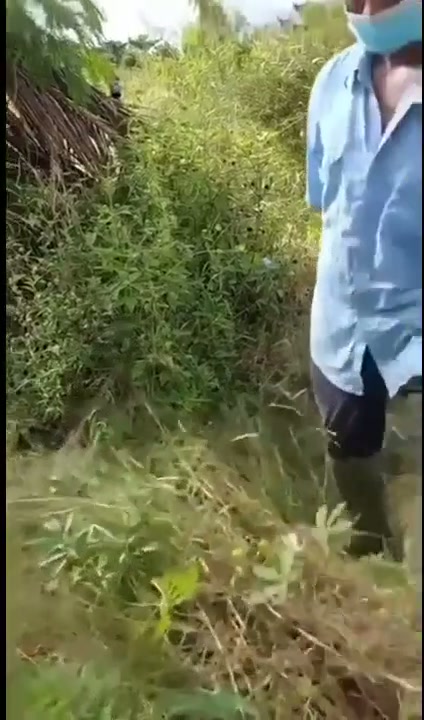 Prank Tukang Kebun