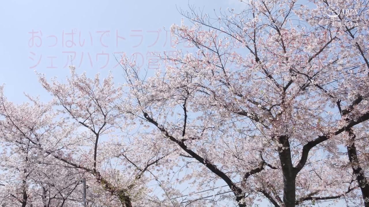 VEMA-207-SEXTB NET-09082023