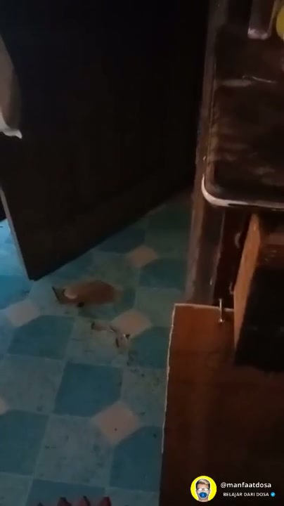 Menyala bersama ibu sendiri (DENGARKAN SUARANYA) .mp4