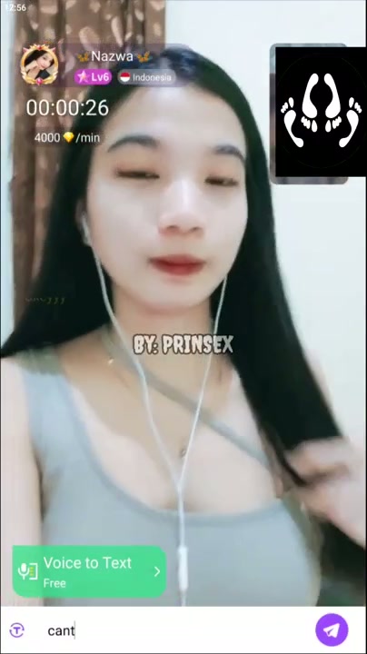 Vcs Nazwa apk Chamet