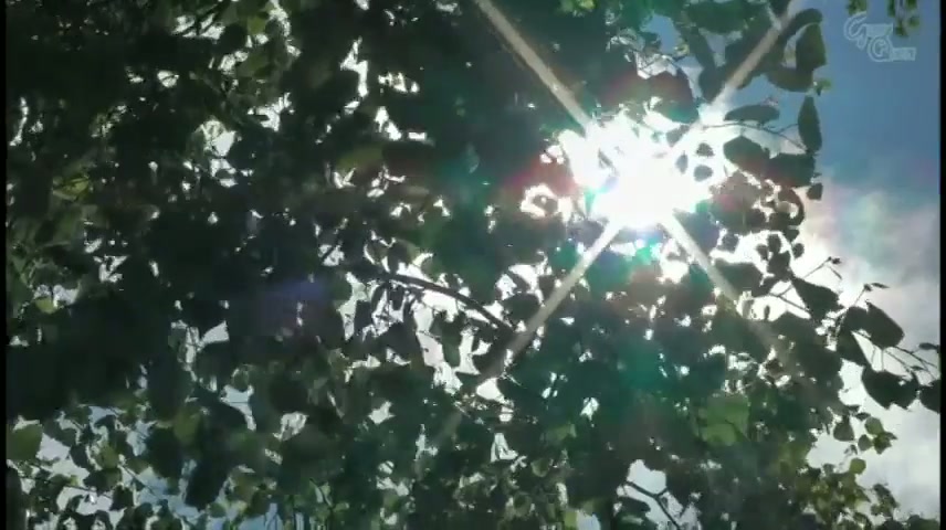 SNIS-390 [ Aimi Yoshikawa ]