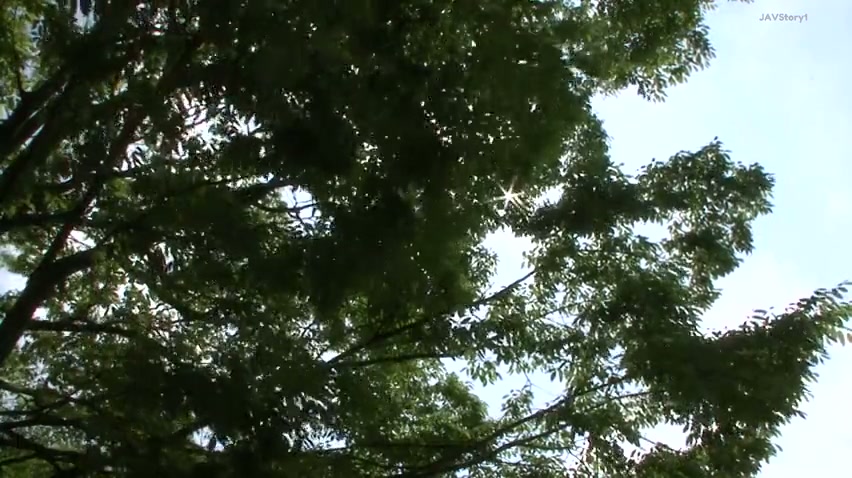 JUL-507 [ Marina Shiraishi ]