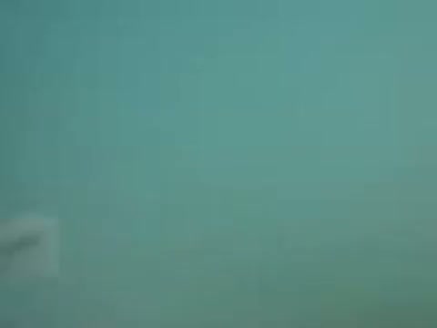 Adik Diajarin Ngentod Dengan Kakak