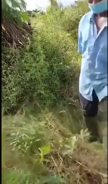 Siskaeee sama petani hot banget