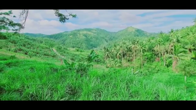 Enaknya Ngewe di Hutan Gak Ketahuan Warga
