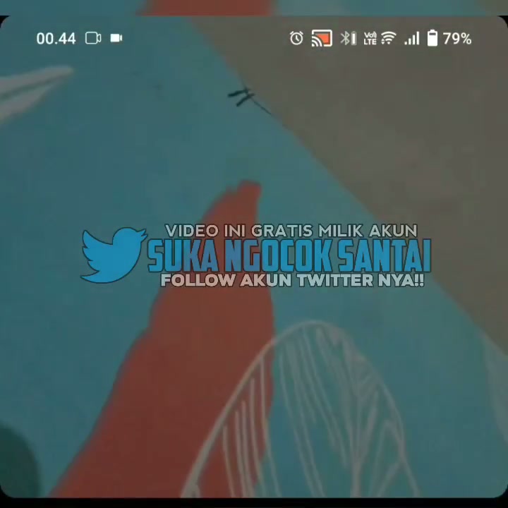 Ometv tobrut gede clmk