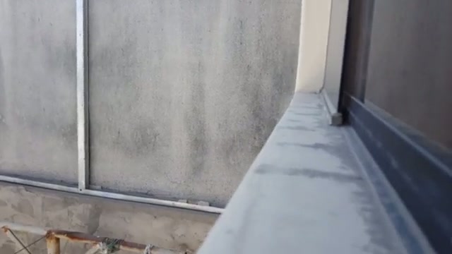 NGINTIP TETANGGA CANTIK MANDI.mp4